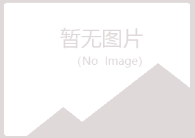 云台区女孩金属有限公司